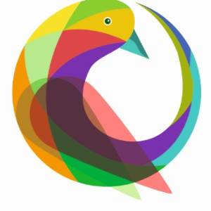 oscar creations oscarsaree